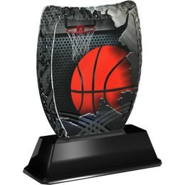 Iceberg Basketball Trophy Silver