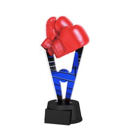 Oxford Boxing Trophy