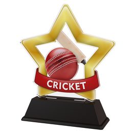 Mini Star Cricket Trophy