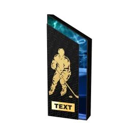 ATAMI Modern Metal & Wood Ice Hockey Trophy