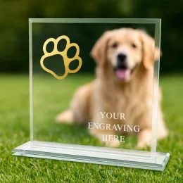 Titanium Glass and Metal Fusion Dog Paw Trophy
