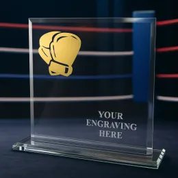 Titanium Glass and Metal Fusion Boxing Trophy