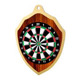 Molten Stainless Steel Darts Medal