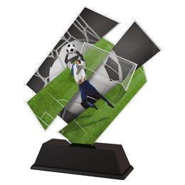 Paris Soccer Goalkeeper Trophy