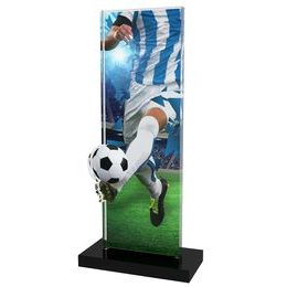 Apla Blue and White Soccer Kit Trophy