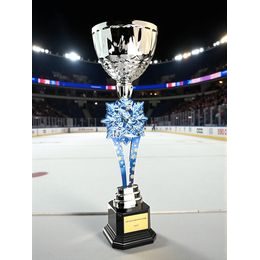 Provo Ice Hockey Silver Trophy