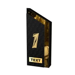 ATAMI Modern Metal & Wood 1st, 2nd and 3rd Trophy