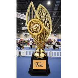 Taft Gold Cynology Trophy