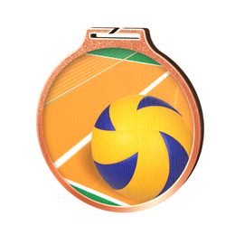 Habitat Volleyball Bronze Eco Friendly Wooden Medal
