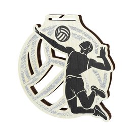 Acacia Volleyball Silver Eco Friendly Wooden Medal