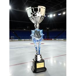 Provo Ice Skating Silver Trophy