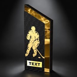 ATAMI Modern Metal & Wood Ice Hockey Trophy