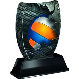 Iceberg Volleyball Trophy