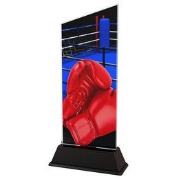 Danbury Boxing Acrylic Trophy