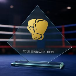 Vanguard Glass and Metal Fusion Boxing Trophy