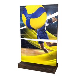 Sherwood Volleyball Eco Friendly Wooden Trophy