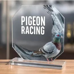 Hutton Pigeon Glass Award