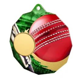 Dodeca Cricket Stainless Steel Logo Insert Medal