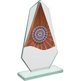 Levita Darts Electric Color Glass Award