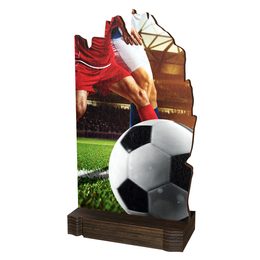 Shard Soccer Eco Friendly Wooden Trophy