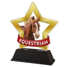 Mini Star Equestrian Horse Head Trophy