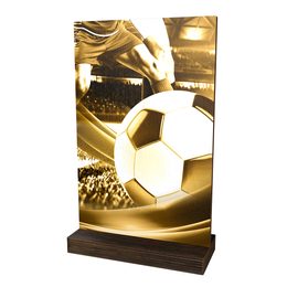 Sherwood Classic Soccer Eco Friendly Wooden Trophy