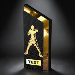 ATAMI Modern Metal & Wood Martial Arts Trophy