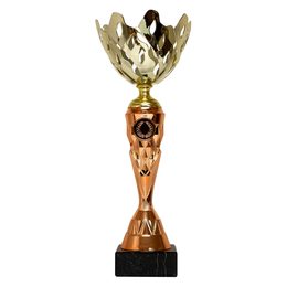 Gold and Bronze Cup ECL2022/25