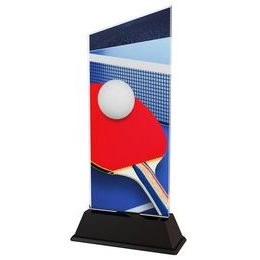 Danbury Table tennis Acrylic Trophy