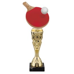 Table Tennis Acrylic Top Trophy