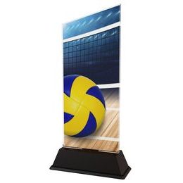 Danbury Volleyball Acrylic Trophy