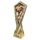 Apex Chess Trophy