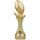 Gold Football Trophy