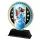 Sentinel Stainless Steel Snowboarding Trophy