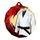 Polygon Stainless Steel Martial Arts Medal