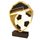 Arden Classic Soccer Real Wood Shield Trophy