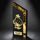 ATAMI Modern Metal & Wood Martial Arts Trophy