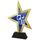 Custom Club Logo Acrylic Gold Star Trophy