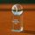 Pooler Tennis Crystal Award