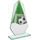 Levita Soccer Color Glass Award