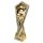 Apex Classic Firefighting Trophy