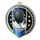 Noir Stainless Steel Fencing Medal