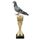 Pigeon Acrylic Top Trophy