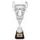 Devon Silver Large Cup