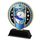 Sentinel Stainless Steel Swimming Trophy