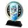 Sentinel Stainless Steel Skiing Trophy