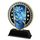 Sentinel Stainless Steel Winter Trophy