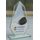 Levita Ice Hockey Color Glass Award