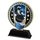 Sentinel Stainless Steel Ice Hockey Trophy