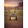Utrera Soccer ball Pitch Handmade Metal Trophy